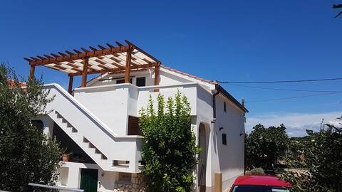 Apartments Dolium Lun/Tovarnele