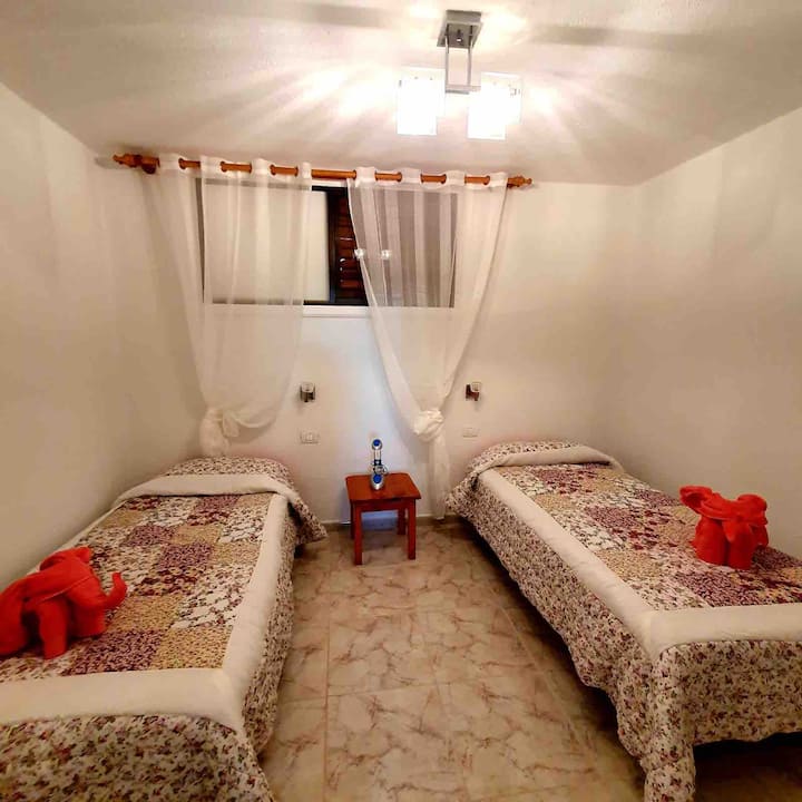 Lijepa  i ugodna, dobro osvijetljena soba . Topla, pristojna i udobna.


 

 

 
