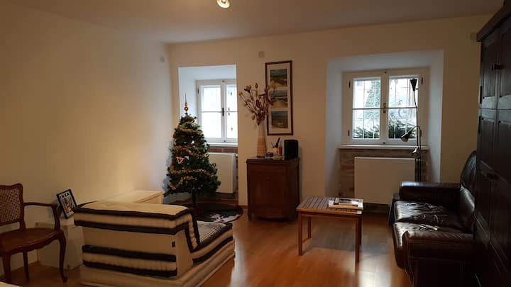 3 Chambres Centrale, 100m2, Frais Pdt éTé - Vienna