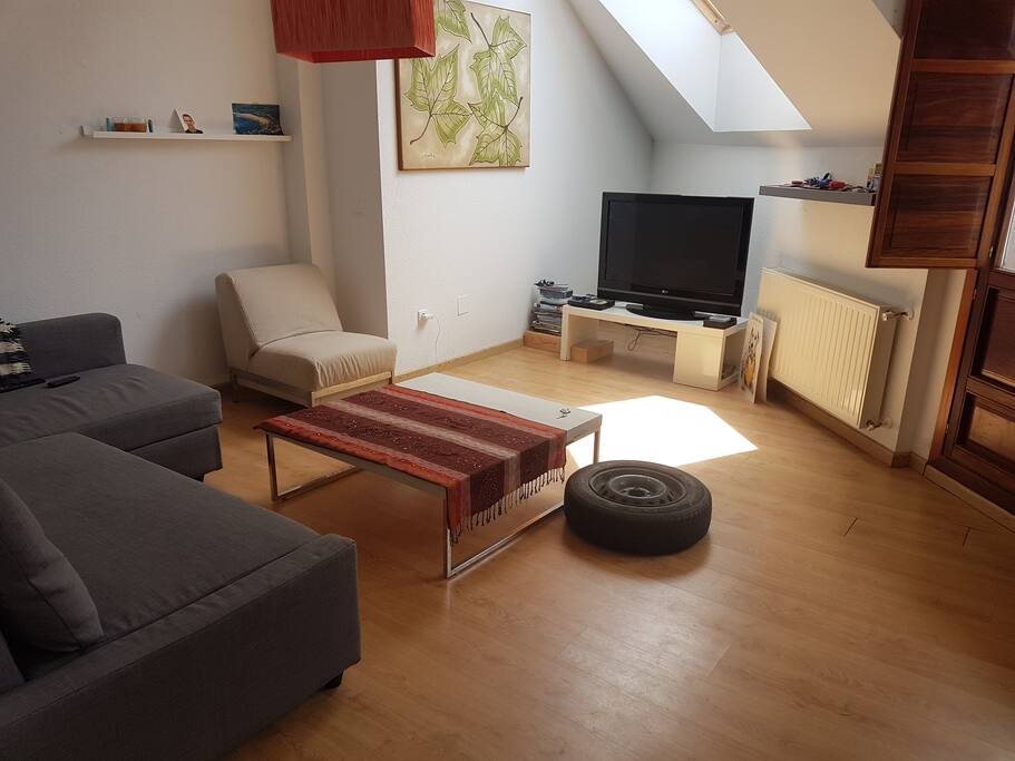 Salon (tv+dvd).