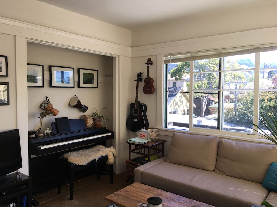 Queen sofabed in living room. Musicians are welcome. :)