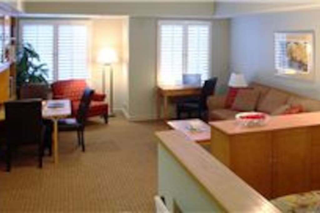 Deluxe Studio Condominium, sleeps 2-4 ppl.