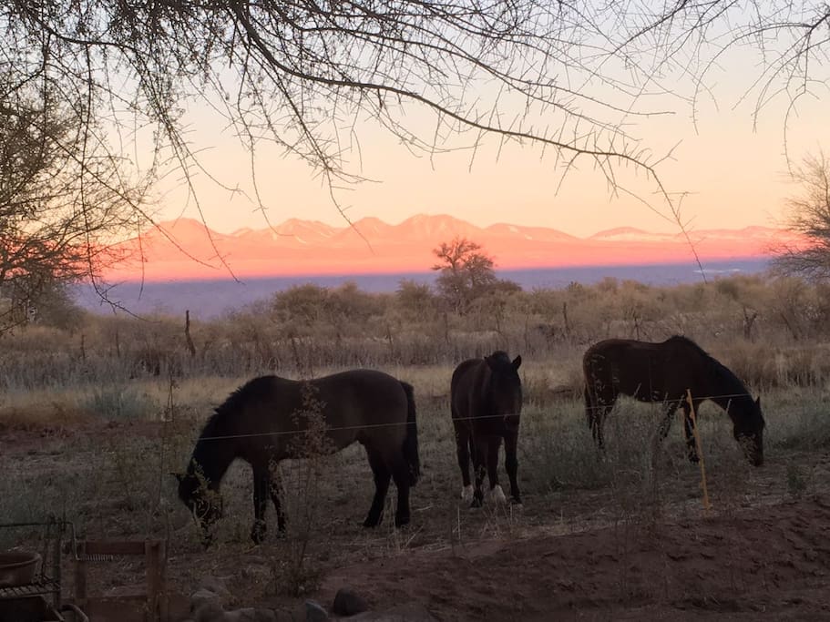 Atardecer en Andes Nomads Desert Camp & Lodge
