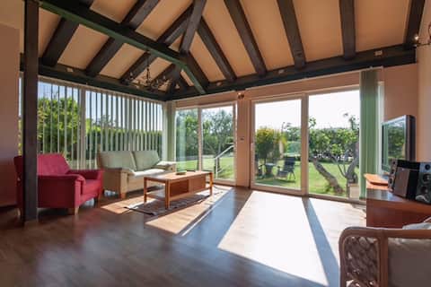 Successful Airbnb property: Holiday house Frankie Paradise in Zaton