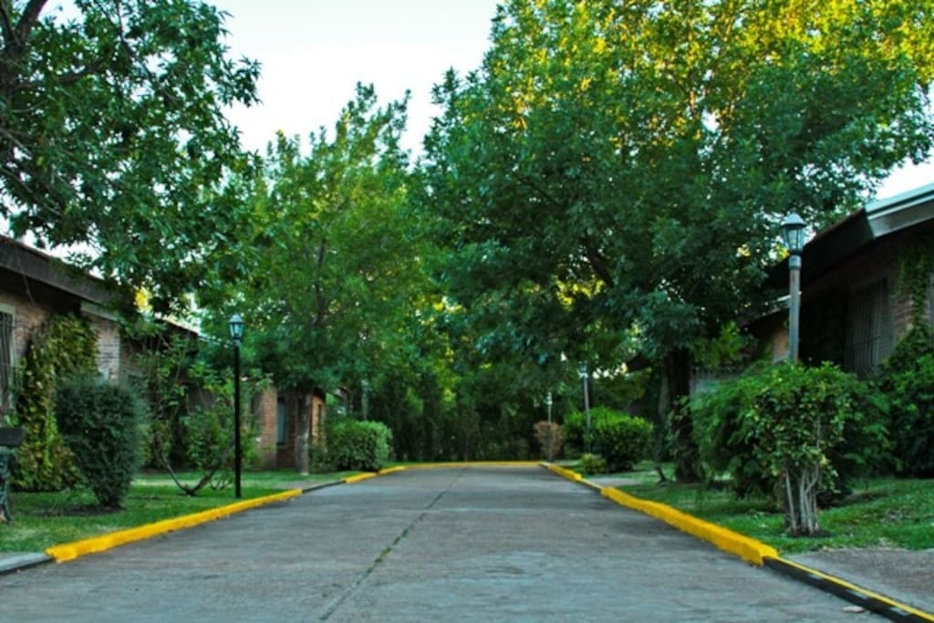 calle interna pavimentada e iluminada