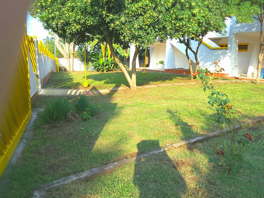 Front garden.