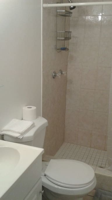 Newly renovated bathroom.