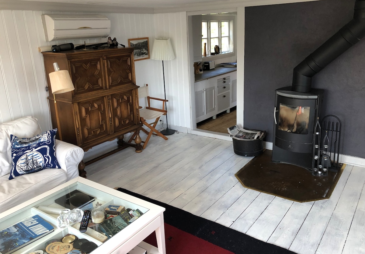 A living area features a cozy white sofa complemented by a decorative pillow. A wooden cabinet and a folding chair are positioned nearby. A black wood-burning stove stands on a brown mat, adding warmth to the space. Light-colored wooden flooring and a patterned rug enhance the ambiance.
