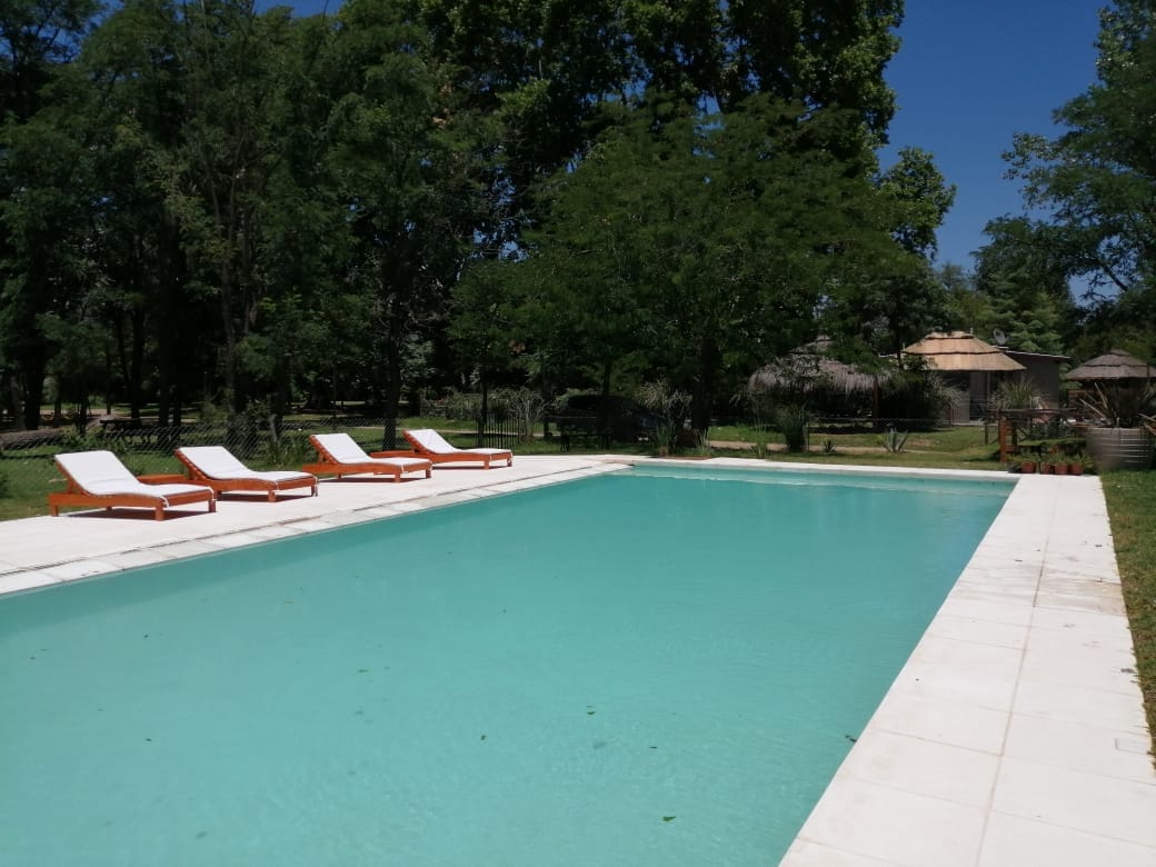 A spacious swimming pool is surrounded by a clear deck, with four lounge chairs positioned along one side. Lush greenery provides a natural backdrop, while a charming structure can be seen in the distance. The scene conveys a serene outdoor atmosphere suitable for relaxation.