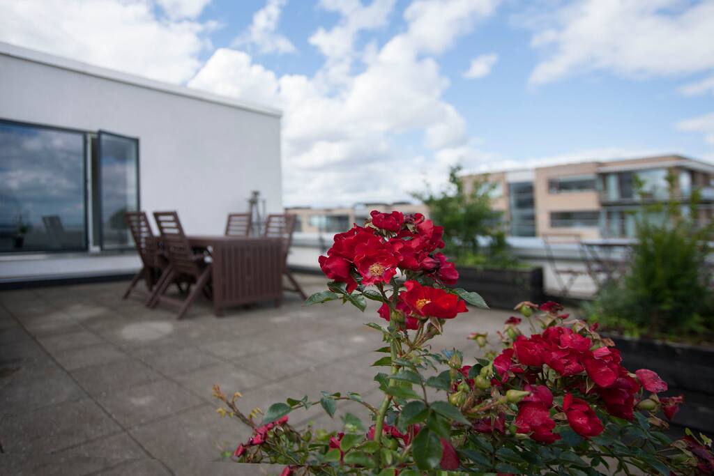 Rooftop