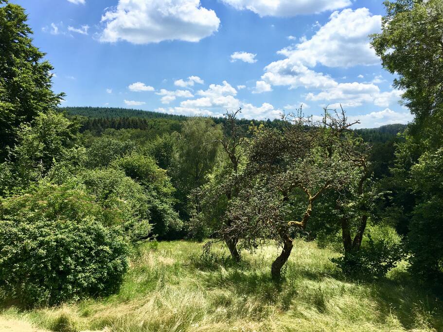 Le point de vue de la terrasse