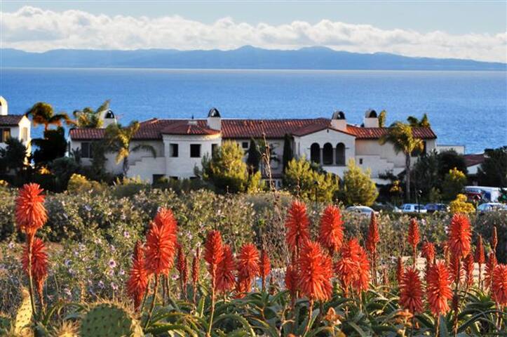 Terranea Oceanside Owner’s 3BR-Full Resort Access! gallery image 4