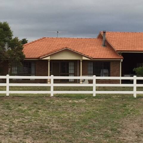 Animal Land Settlers Run gallery image 2