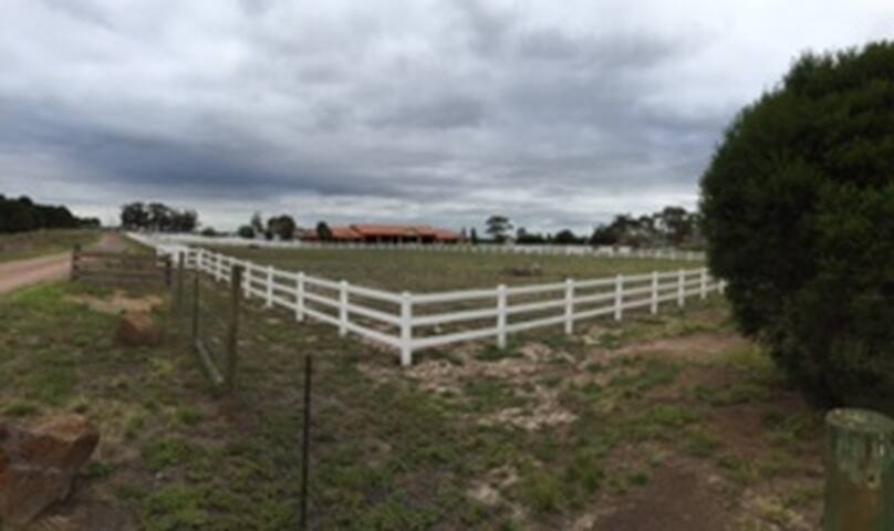 Animal Land Settlers Run gallery image 4