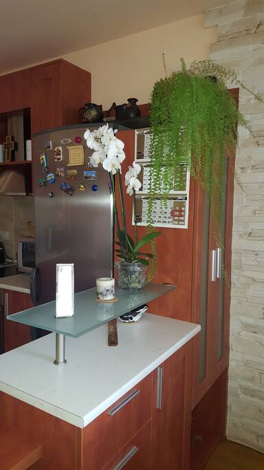 Dining room and kitchen