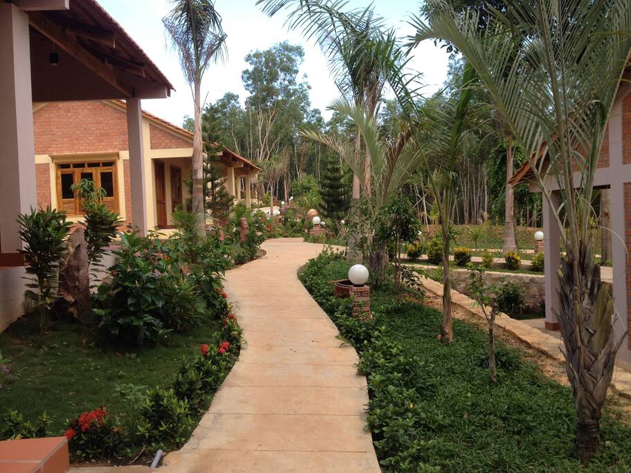 Grounds
