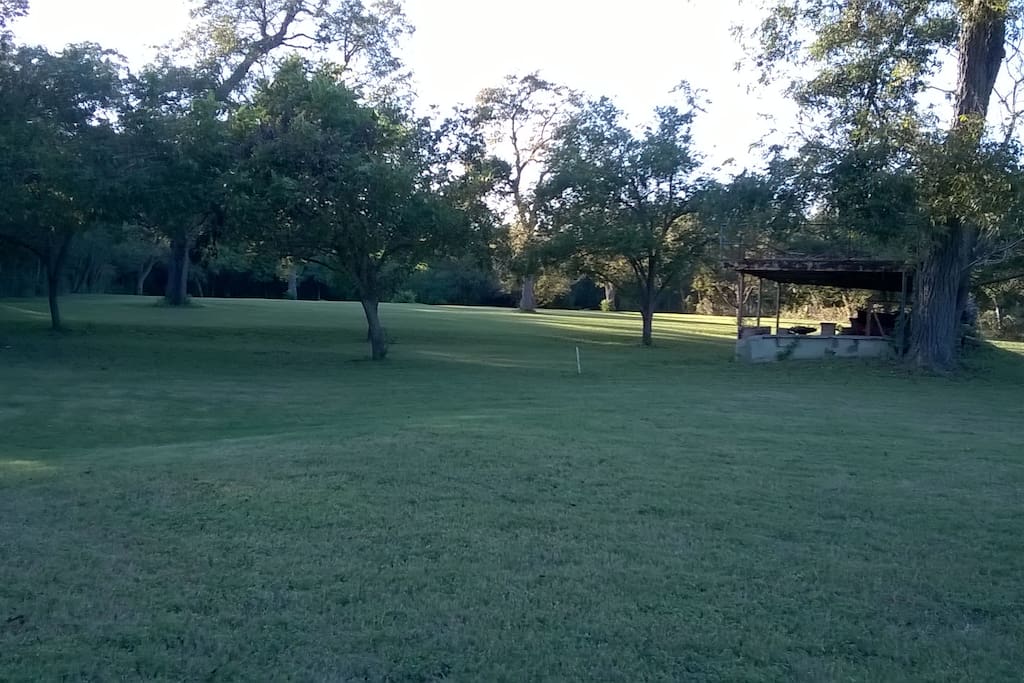 View of backyard acreage