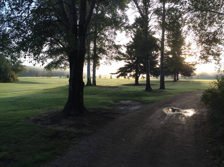 Golf course during sunrise
