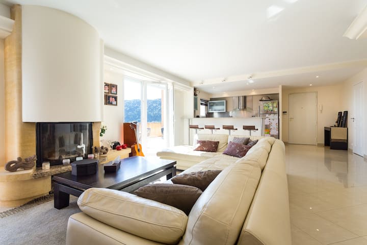 Beautiful penthouse apartment
(available for sale)