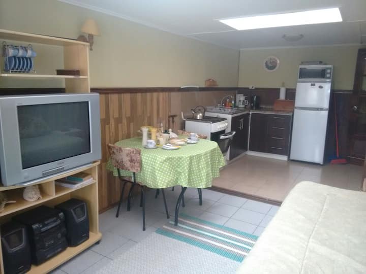 Cozy apartment for 3 people.