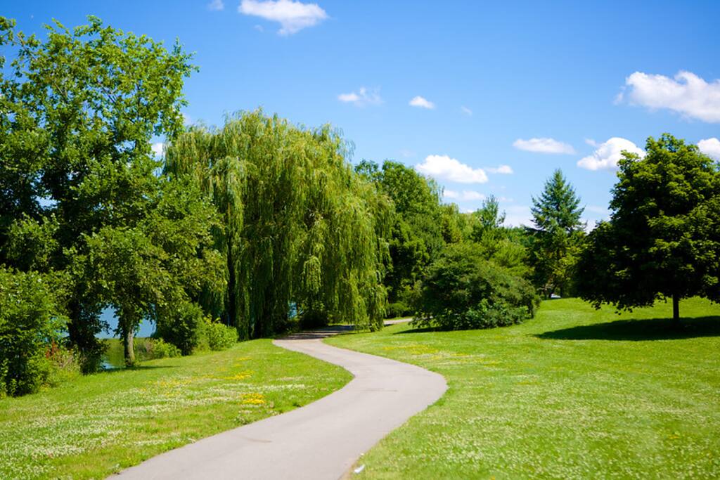 Delaware Park