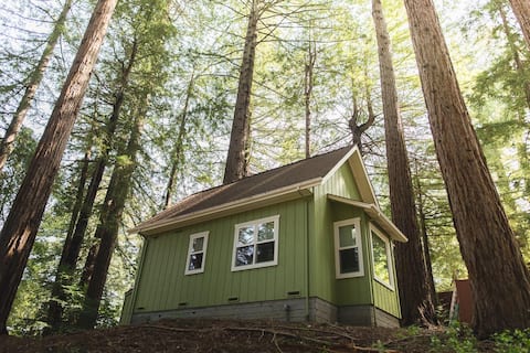 Private Guest-House in the Redwoods