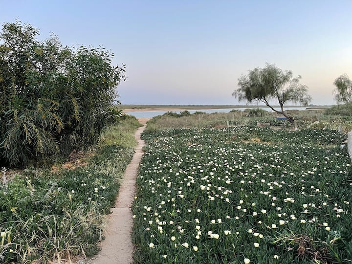 Amor E Uma Cabana - Acesso Directo Para Ria Praia - Tavira