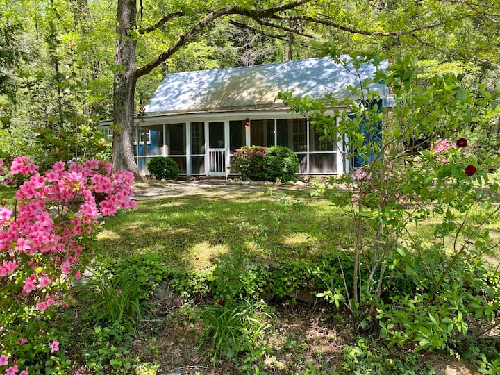 Clayton Cabin Rentals Cabins and More Airbnb