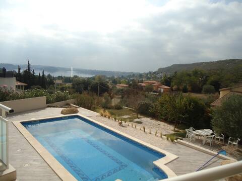 The View