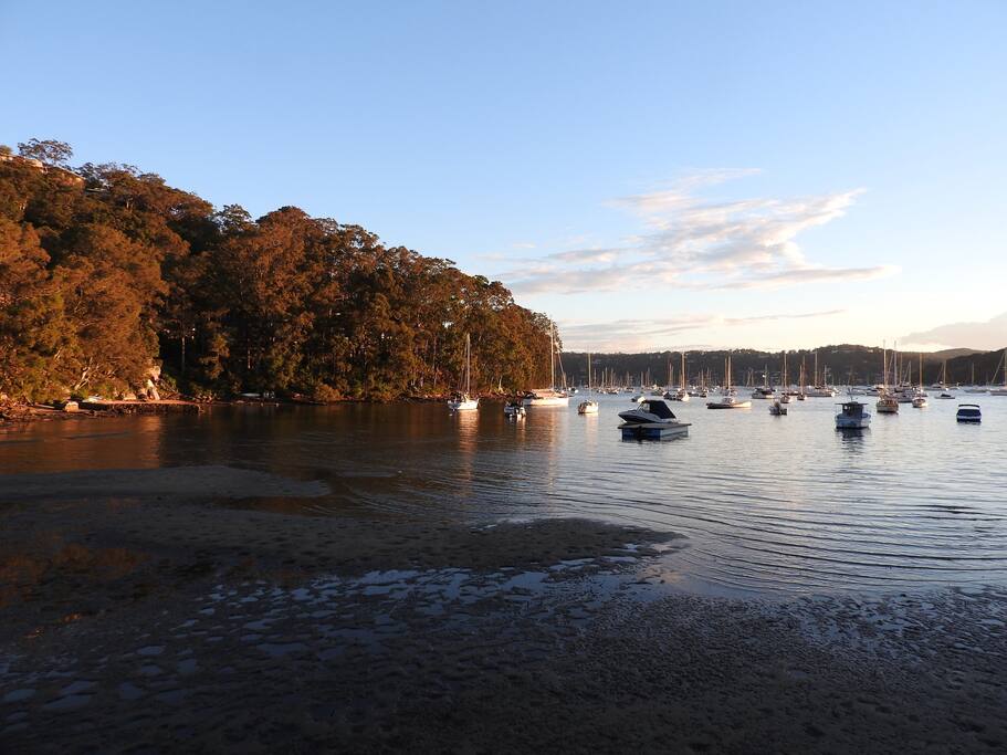 The hidden beauty of Refuge Cove