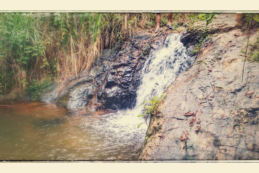 piscina natural