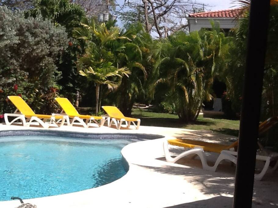 Pool from front