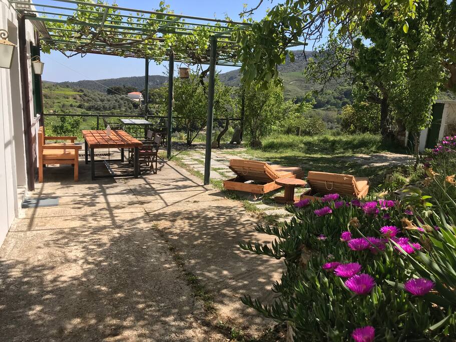 Τhe private yard of the house