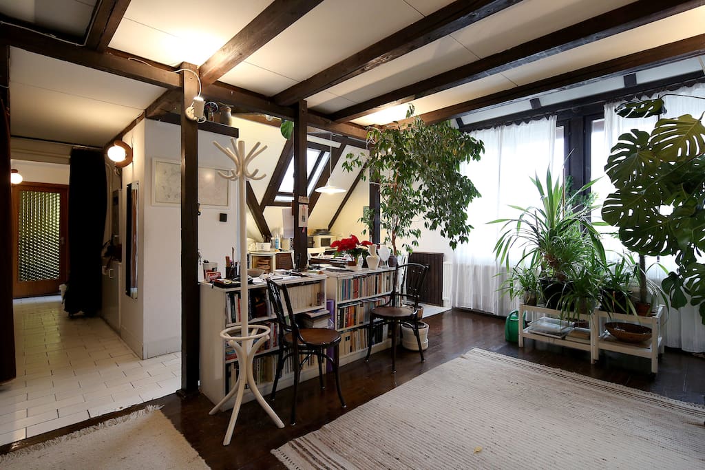 Living-room with open kitchen and entrance (on the left) to the bedroom no.1.