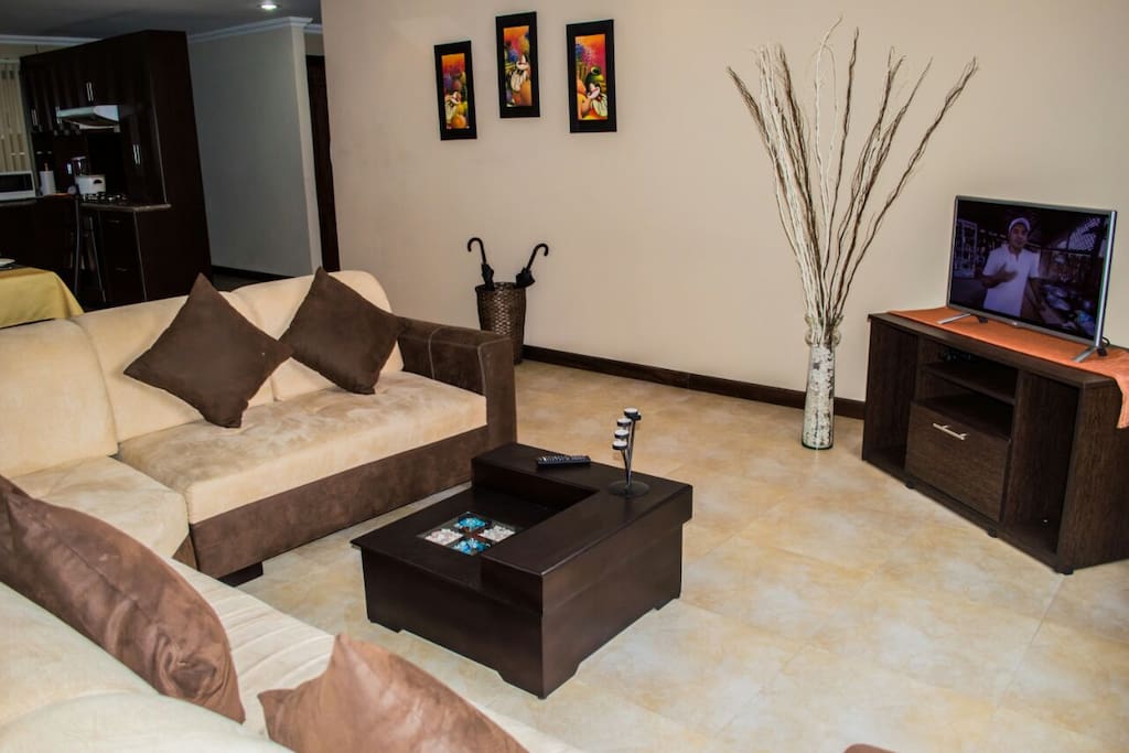 Living area. TV with HDMI cable, TV is connected to local channels.