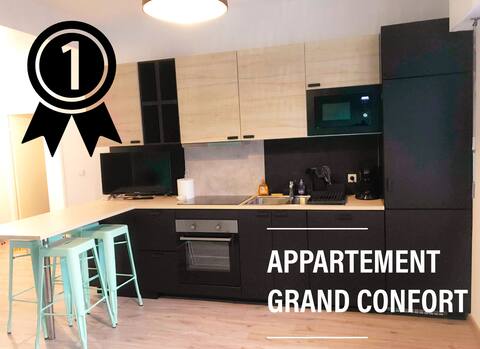 Magnifique appartement 70m2 2 chambres confort (1)