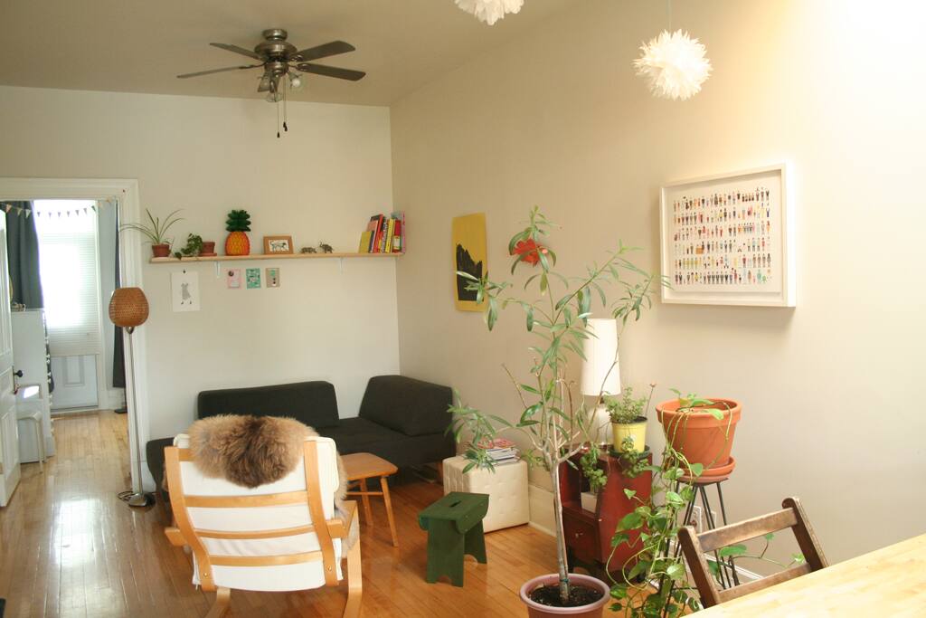 Salon