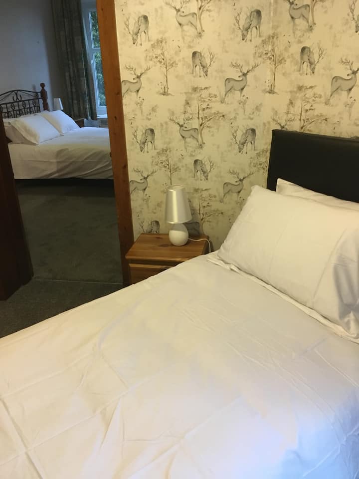 Საოჯახო ოთახი (დიდი ზომის საწოლი და ერთადგილიანი)