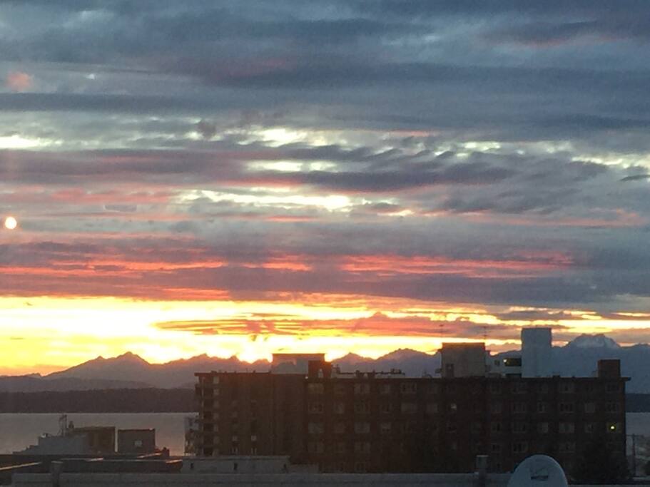View from the apartment window