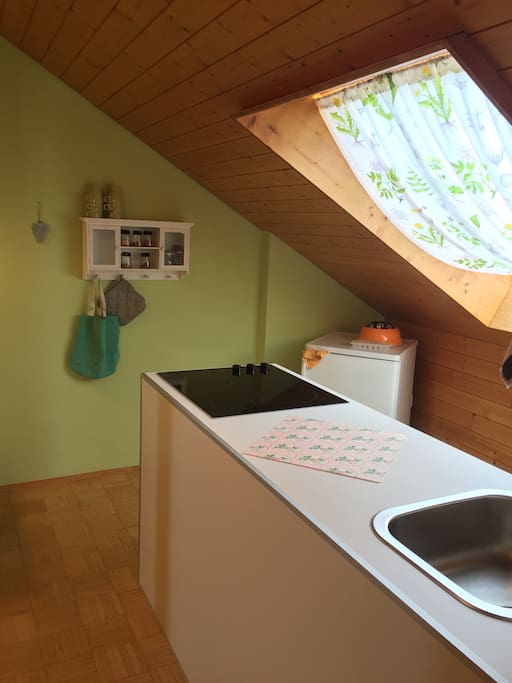 Küche mit Kühlschrank, Herd und Ofen