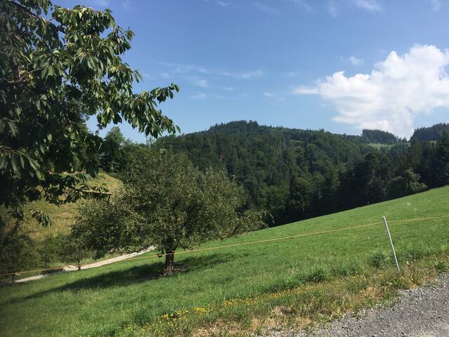 Dans un écrin de verdure