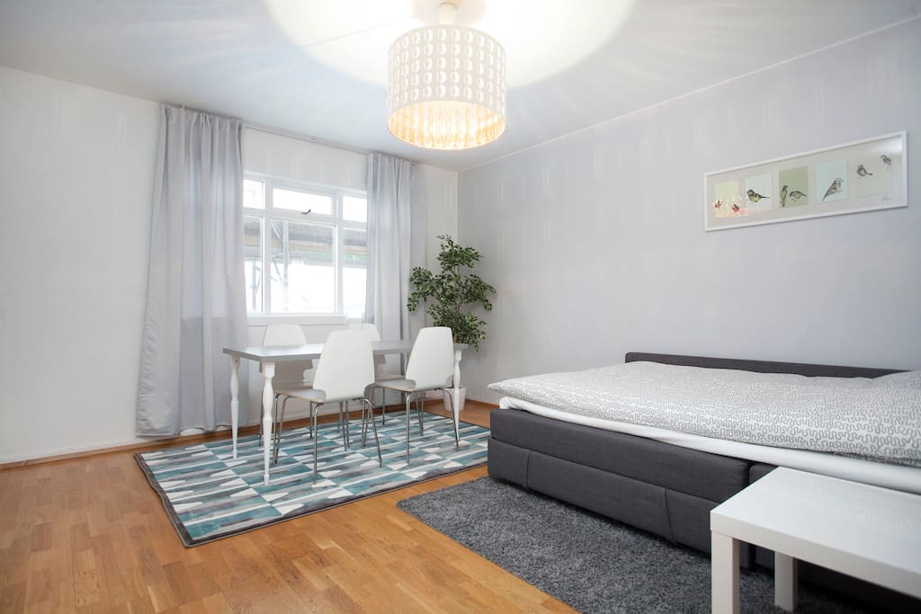 The living room with the sleeping sofa where you can relax and have a good dream...Zzzz