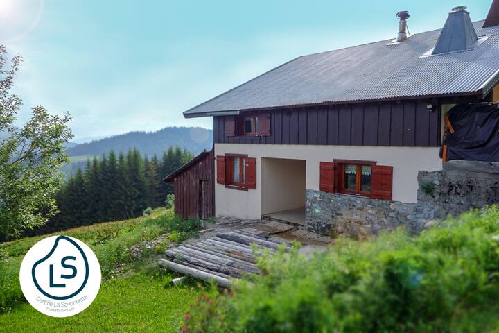 Apartment in a mountain chalet