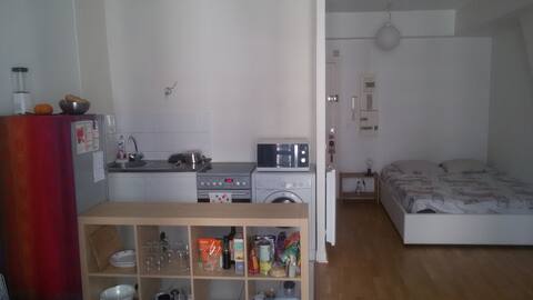 Charmant studio au coeur de Paris avec plantes