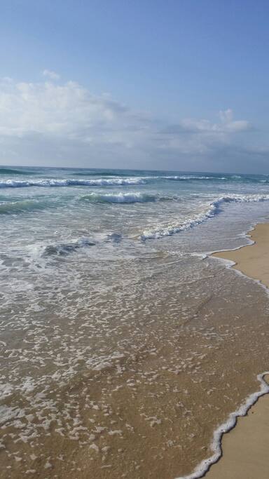 A glorious Castaways Beach morning walk.