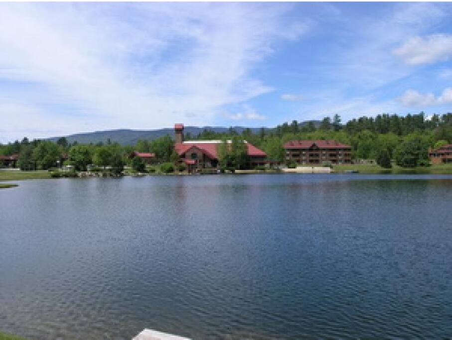 View from nature trail along lake
