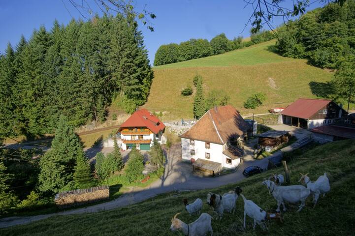 Steinmühle: Ferienwohnung "Frauenmantel"