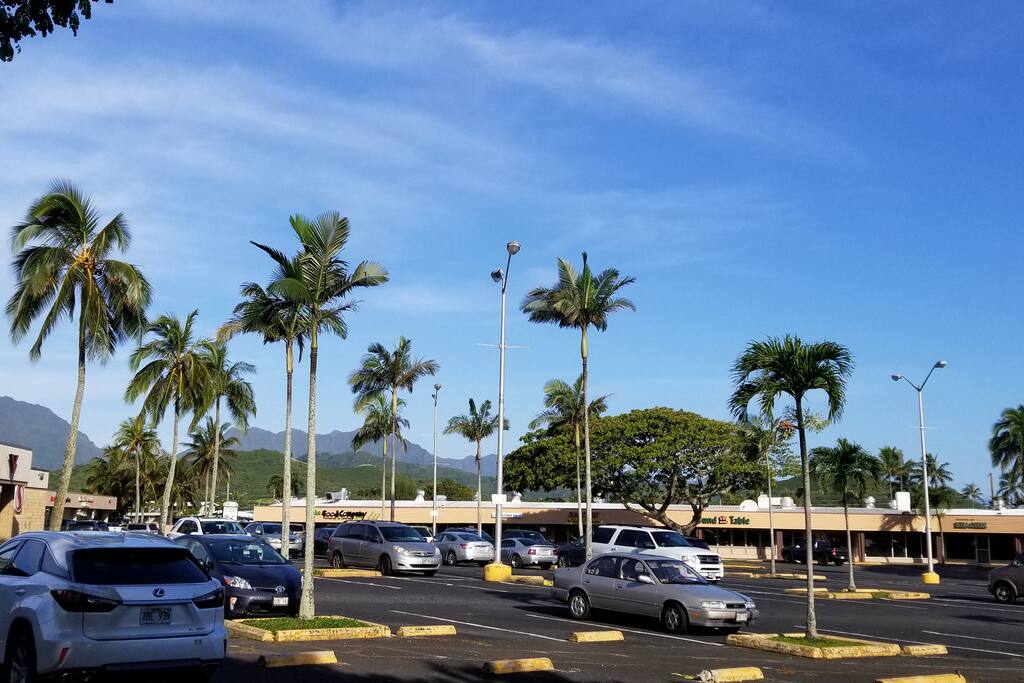 Shopping center with grocery store and restaurants .8 miles away