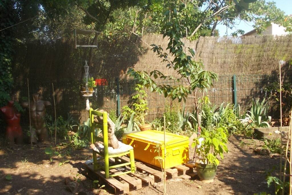 Jardin potager