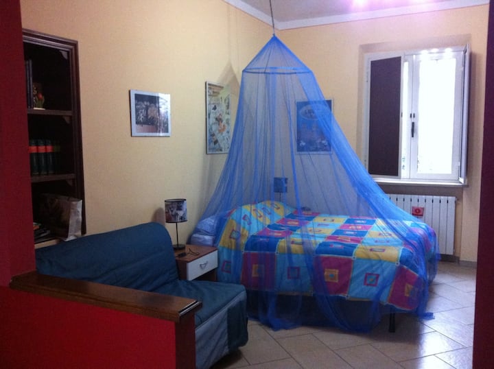 מצלמה אלגרה